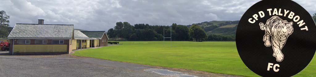 Blaendolau Playing Fields